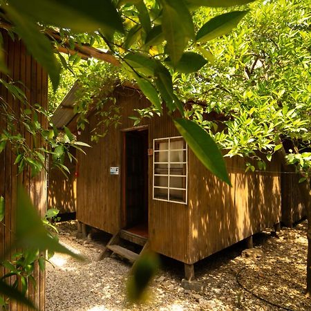 Olympos Yakamoz Pansiyon Luaran gambar