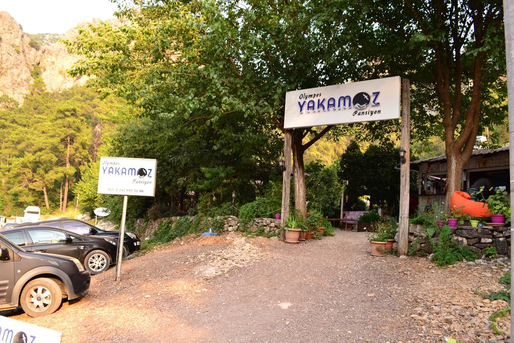 Olympos Yakamoz Pansiyon Luaran gambar