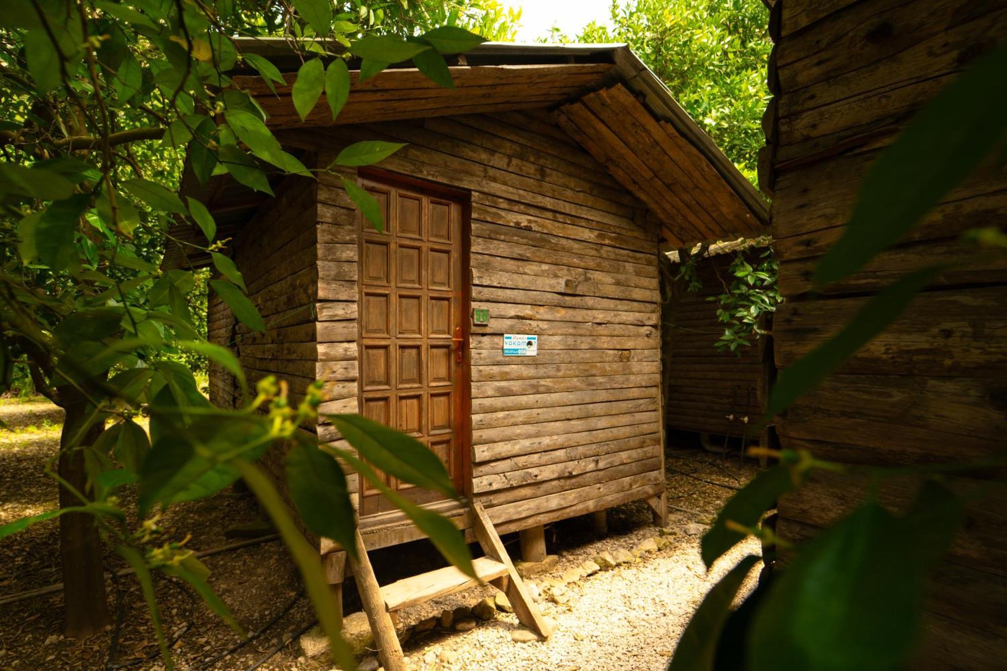 Olympos Yakamoz Pansiyon Luaran gambar