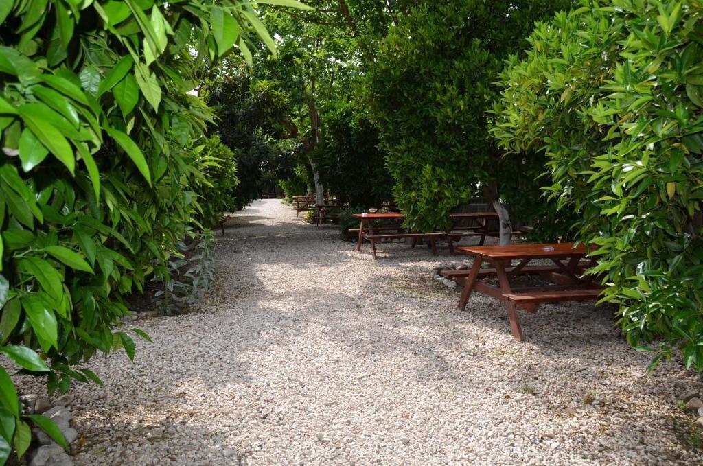 Olympos Yakamoz Pansiyon Luaran gambar