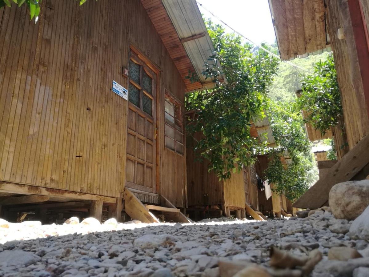 Olympos Yakamoz Pansiyon Luaran gambar
