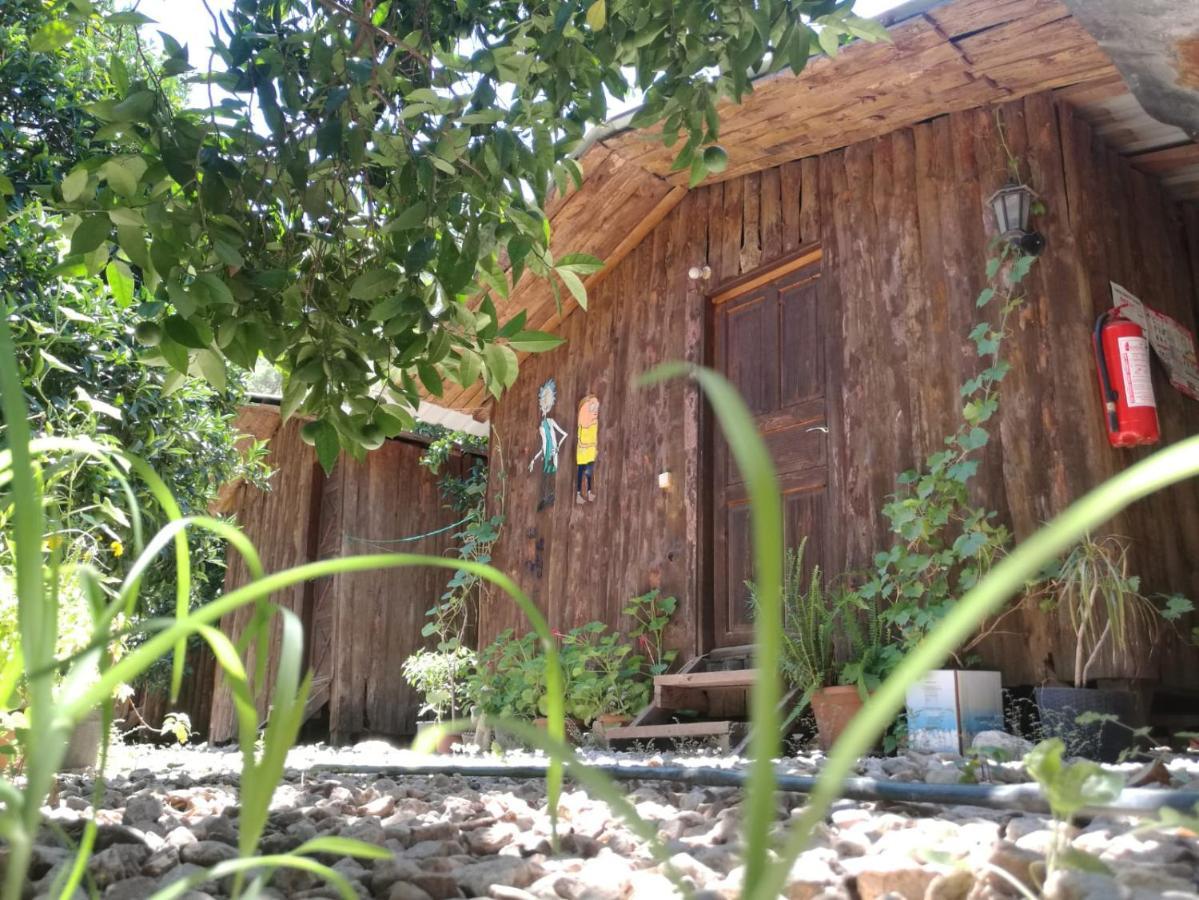 Olympos Yakamoz Pansiyon Luaran gambar