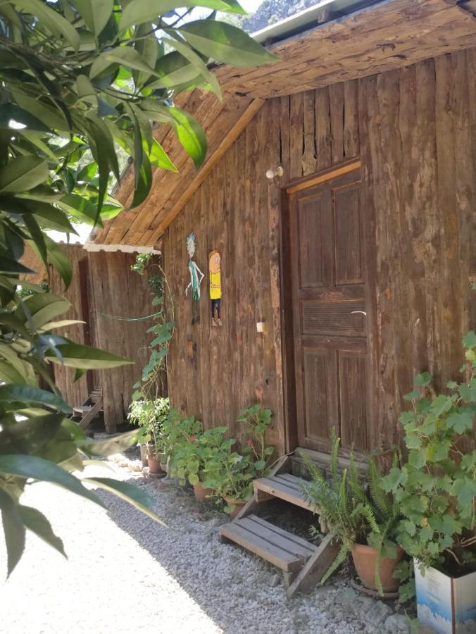 Olympos Yakamoz Pansiyon Luaran gambar