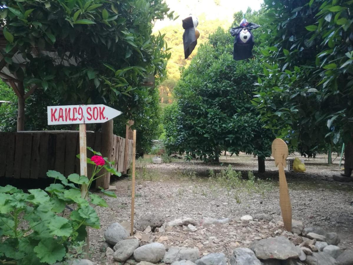 Olympos Yakamoz Pansiyon Luaran gambar