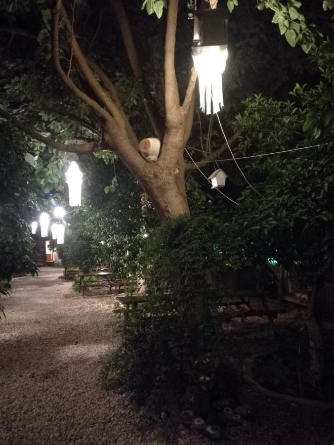 Olympos Yakamoz Pansiyon Luaran gambar