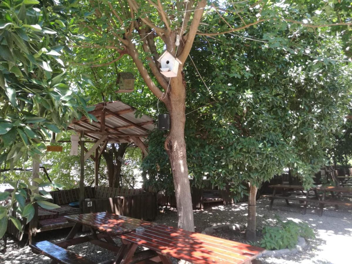 Olympos Yakamoz Pansiyon Luaran gambar