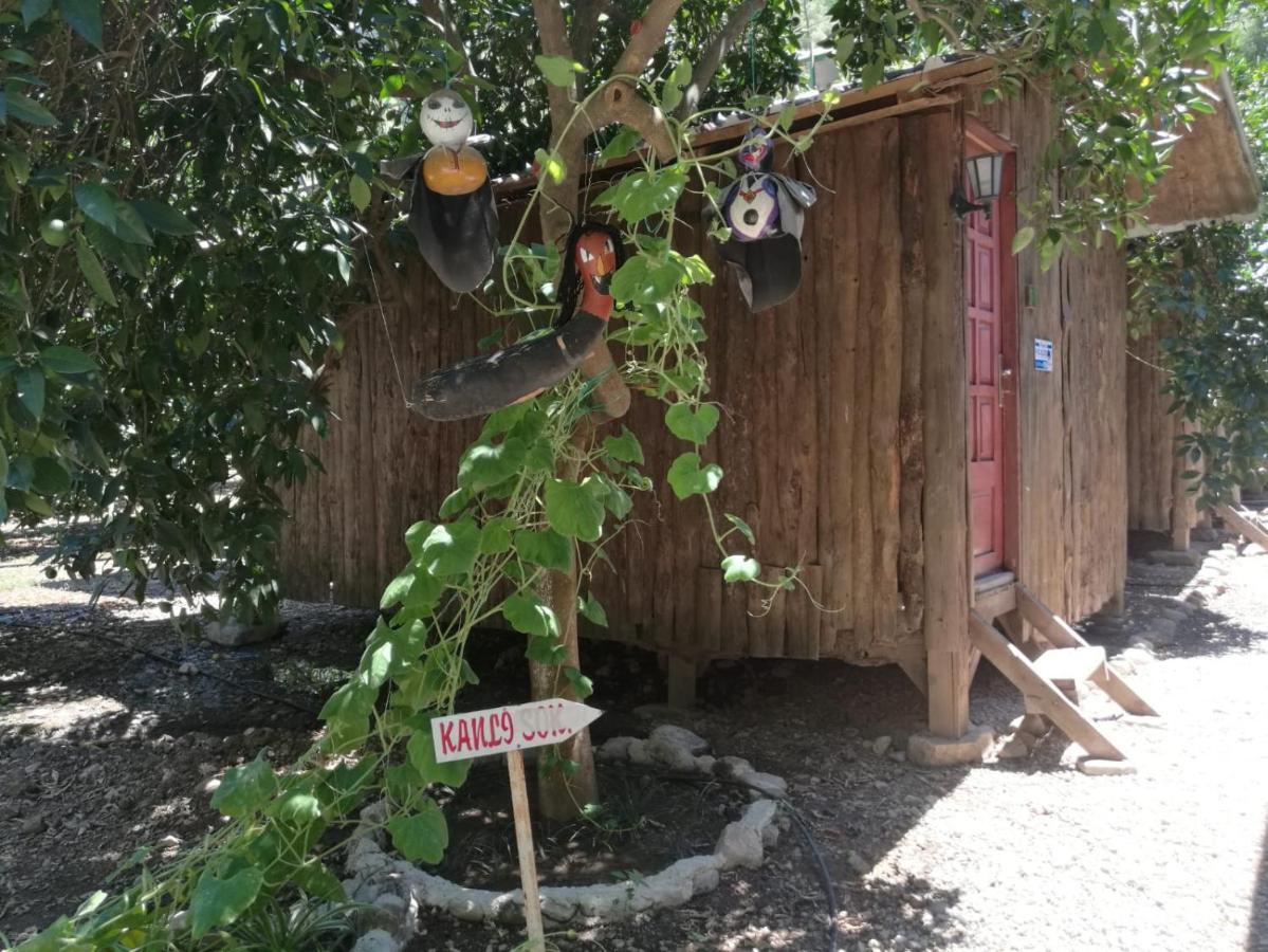 Olympos Yakamoz Pansiyon Luaran gambar