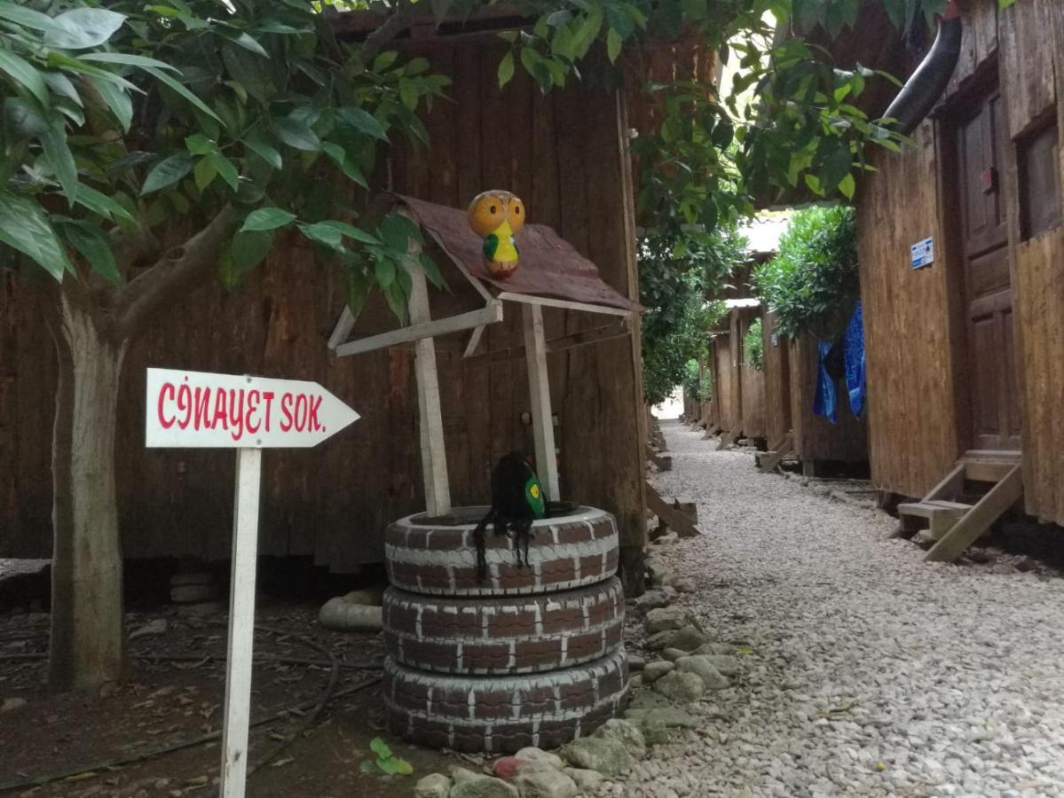 Olympos Yakamoz Pansiyon Luaran gambar